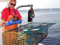 lobsterman1
